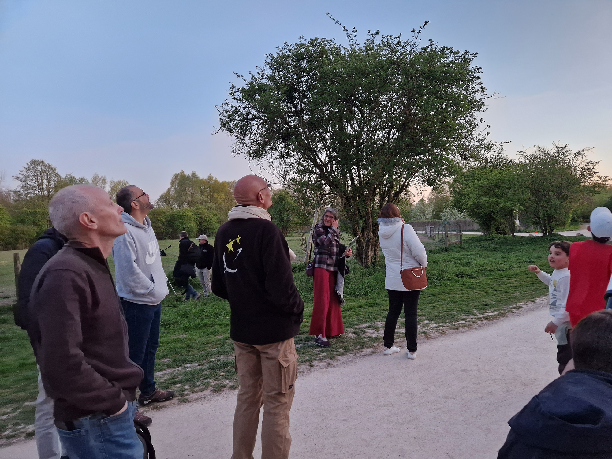 2025 Nuit Belle CARL 08